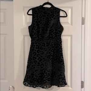Ann Taylor Dress